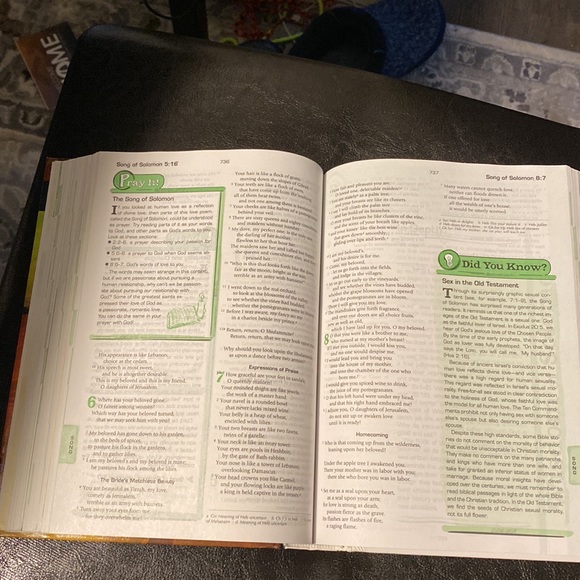 The Catholic Youth Bible (Catholic Edition) NRSV Catholic Edition - Picture 11 of 12